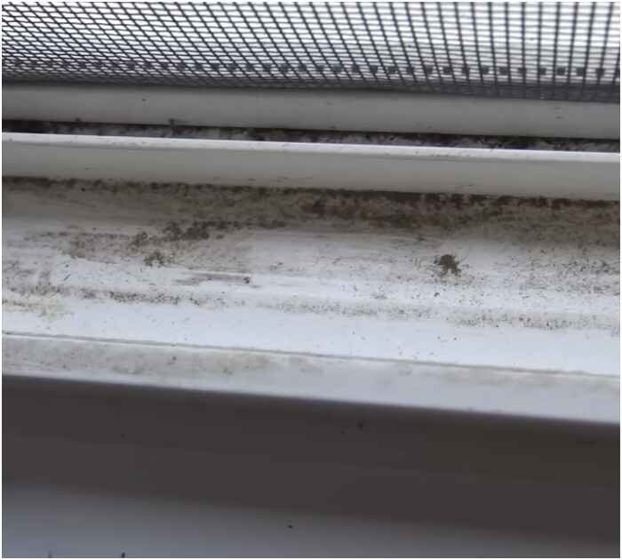 deep clean window tracks