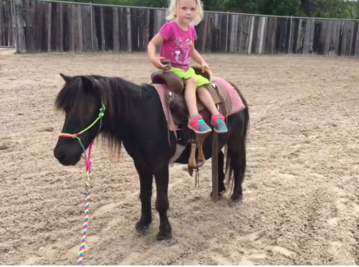 Astonishing pony trick riding in Texas