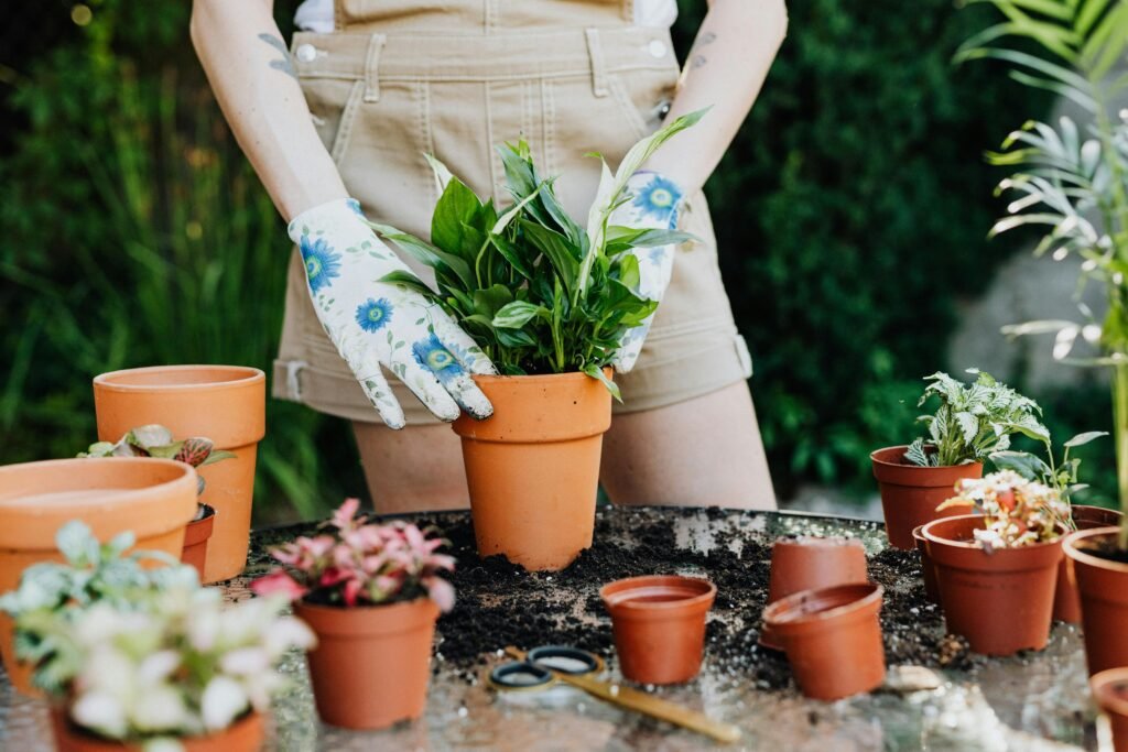 How to Create a Beautiful Indoor Garden in Small Spaces