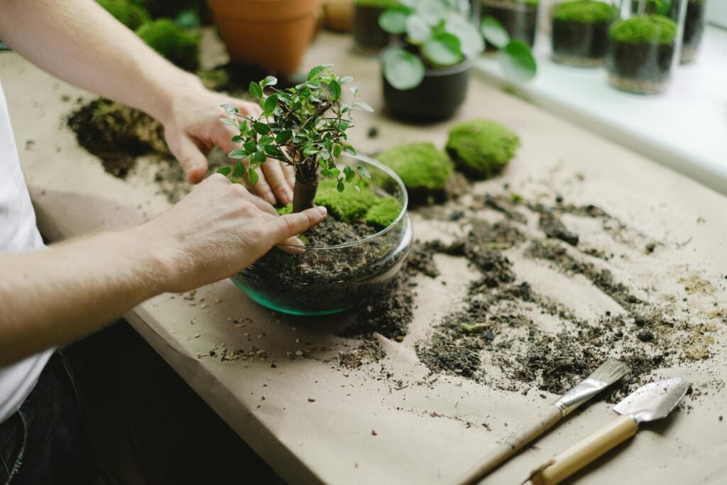 gardening
