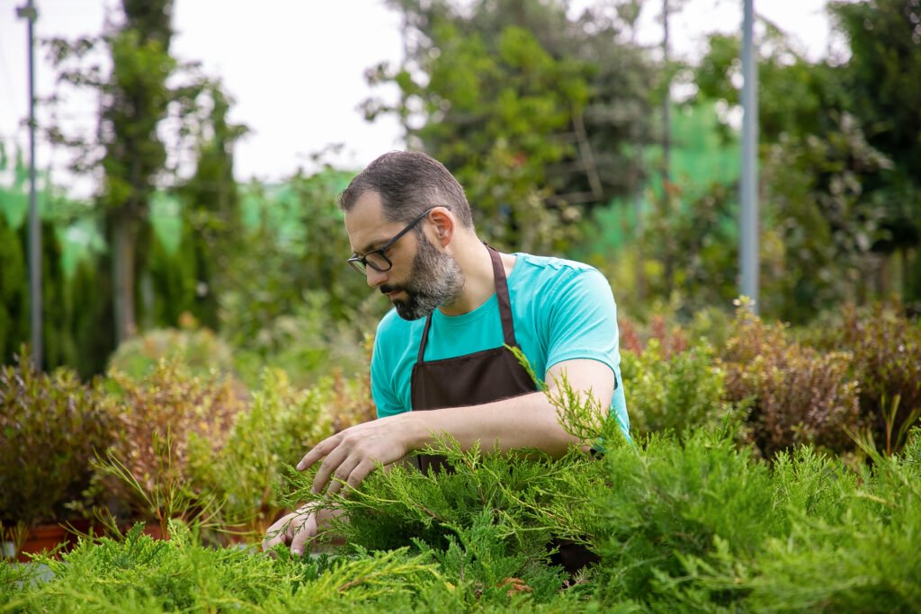 Home Gardening